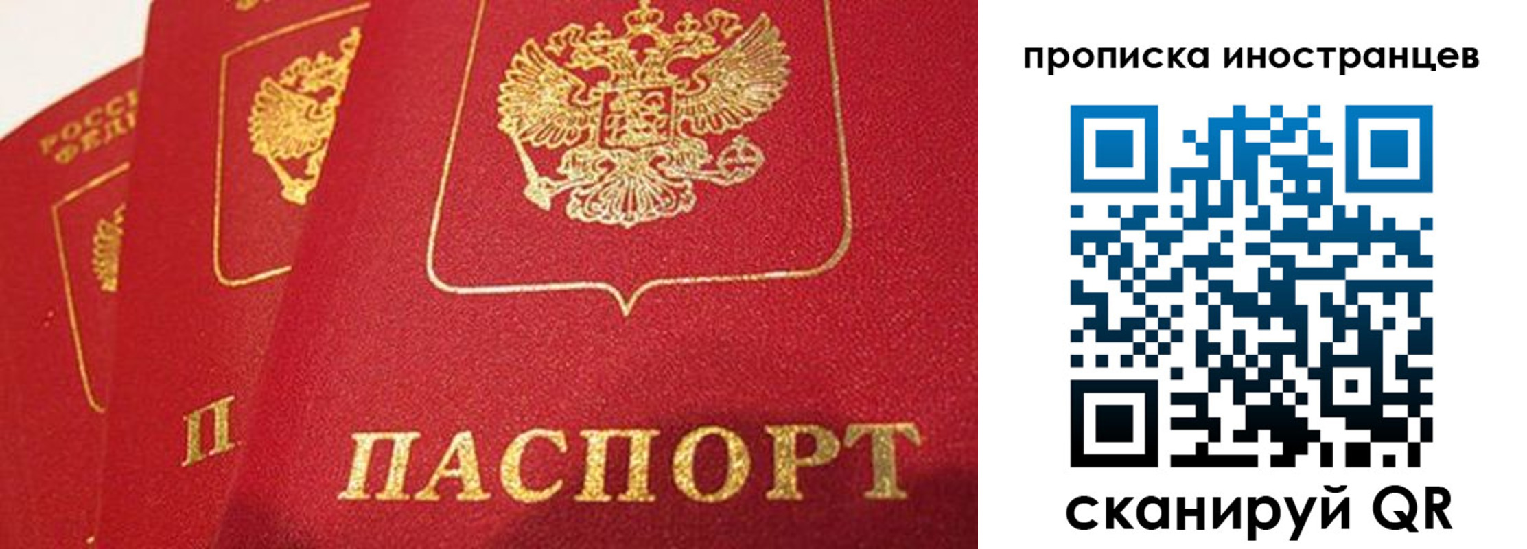 прописка поиск в Апрелевке